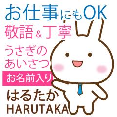 HARUTAKA: Rabbit.Polite greetings