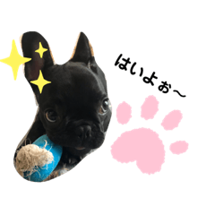 mikko_20190713203923