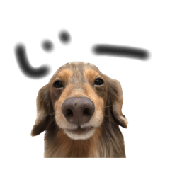 Maro no itiniti