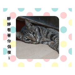 啊揍你