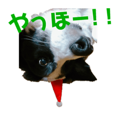 milky_20190713214331