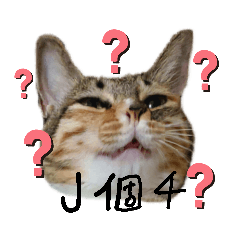 哈子