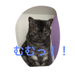 aoi_TAKADA