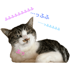 Haruna_20190714002844