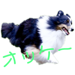 My_20190714122804