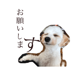 MIZUKI_20190714132346