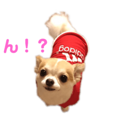 chi_20190714141713