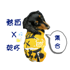 補獲黏TT Q毛臘腸 林布丁一枚