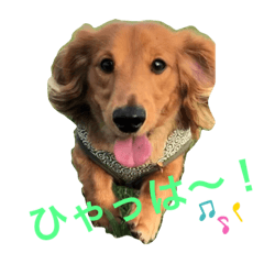 KIYO_AIR's sticker