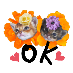 kitten stickers 11