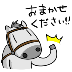 Gray racehorse Shigeo