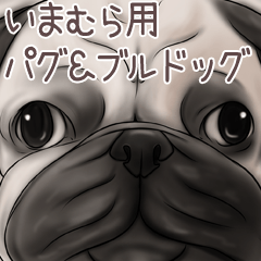 Imamura Pug and Bulldog