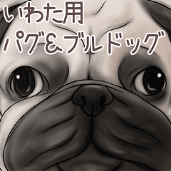 Iwata Pug and Bulldog