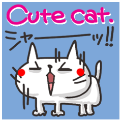 Cute cat.[The eye power kitty]