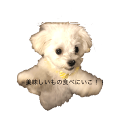 Asako_20190714174244
