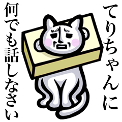 Stray cat!! Terichan