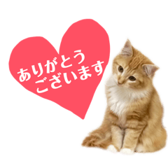 take_20190714173932