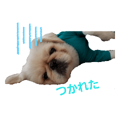uchinoaiken