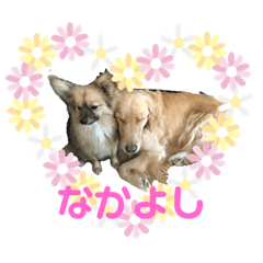 nanami_20190714184113