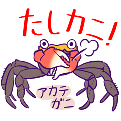 Tottori Karo Crab Aquarium official
