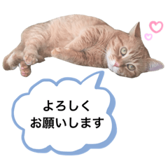 KEN_CHAN