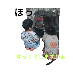 kota_20190714213149