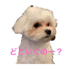 yuta_20190714224012