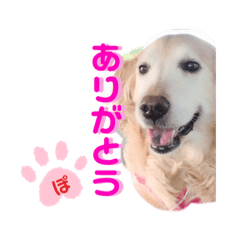 Yukko_20190714234106