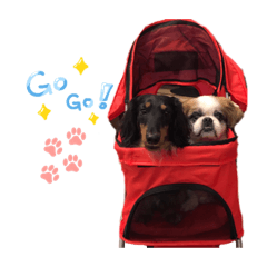 可愛波比&搞怪黑糖