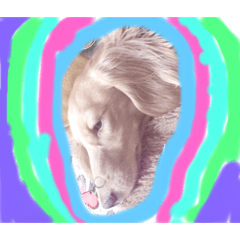 HIKARI_20190715083257