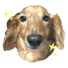 miwa_20190715112324