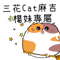 三花CAT麻吉貓-專屬楊妹篇