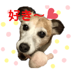 peace_20190715120025