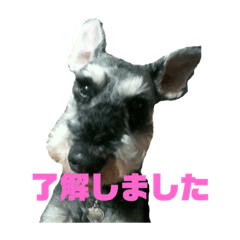 yuuki_20190715131218 M