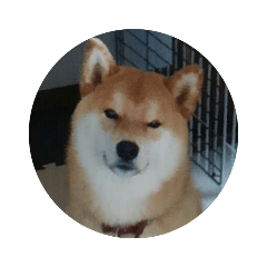 Cherry_20190715142939