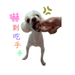 八里一哥皮皮老大