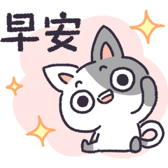 Special Daily Cat-NO.1 and White Rabbit