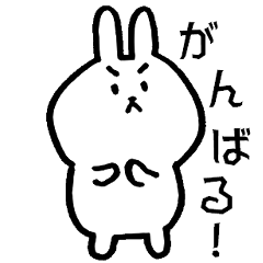 white cute rabbit2019