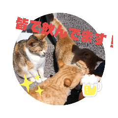 REIKO_20190715181608