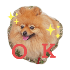 misato_20190715202915