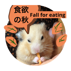 Love Hamutaro The Hamster - Fall