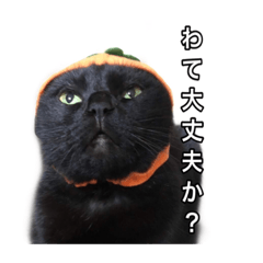 aKira_20190715231223