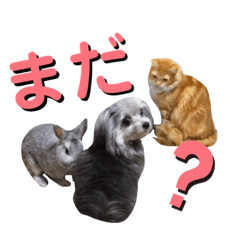 take_20190716004720