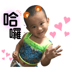 胖胖小豬哥(儒儒)