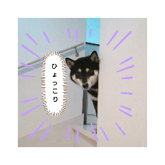 Natsumi_20190715222339