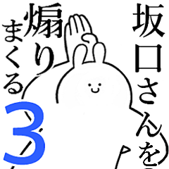 Rabbits feeding3[SAKAGUCHI-san]