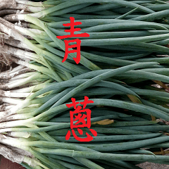 Nutrition Allium fistulosum