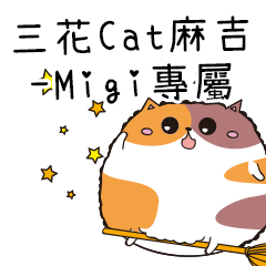 三花CAT麻吉貓-專屬Migi篇