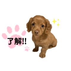minaaami