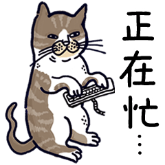 Yamamoto Cat - It's my life